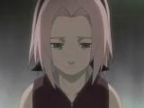 sakura haruno