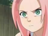 nr 13 sakura haruno