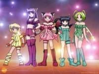 Galerie! - Mady-Chan - Mew-Mew Power
