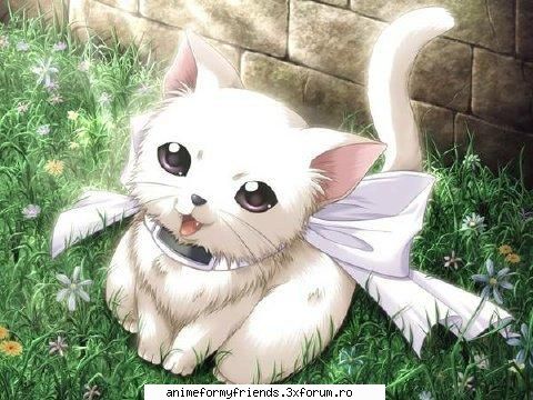 Nota Pentru Poza - Mady-Chan - Jocuri