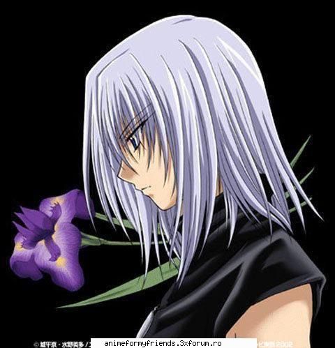 regulile forumului: