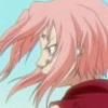 sakura haruno