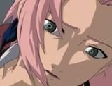 sakura haruno