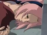 sakura haruno
