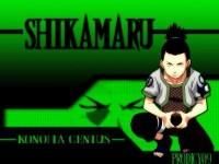 shikamaru nara nara este un personaj fictiv �n anime-ul şi manga naruto, create de masashi