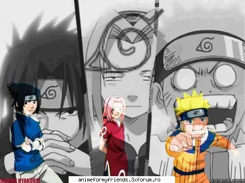 nr 24 team 7~ kakashi's team